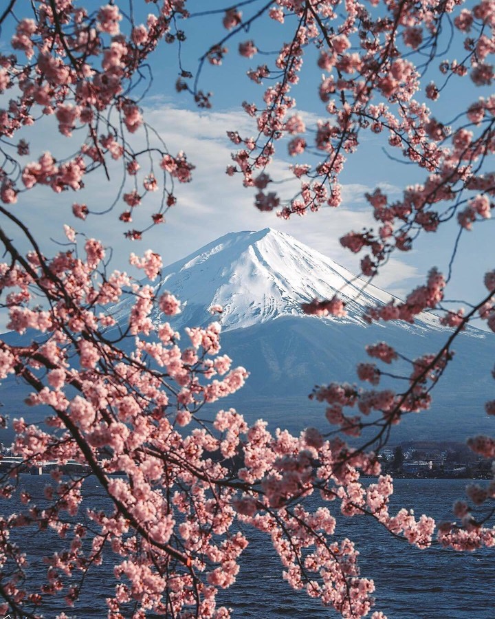 beautiful