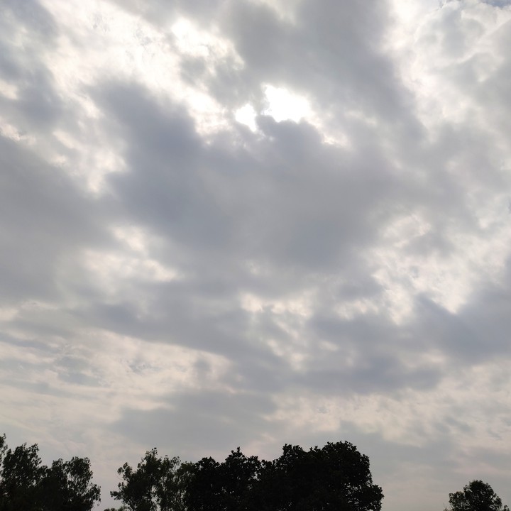 cloud lover