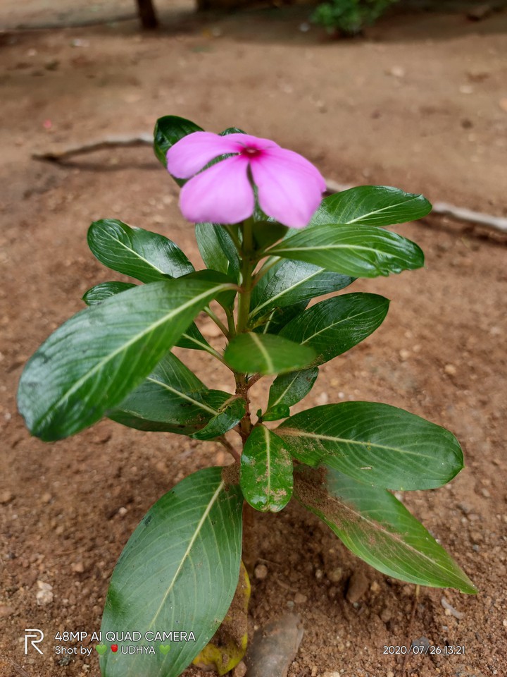 small