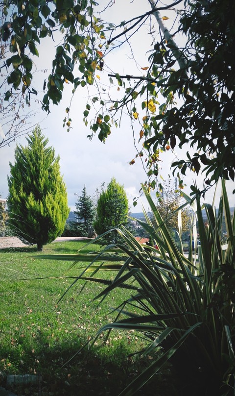 Nature