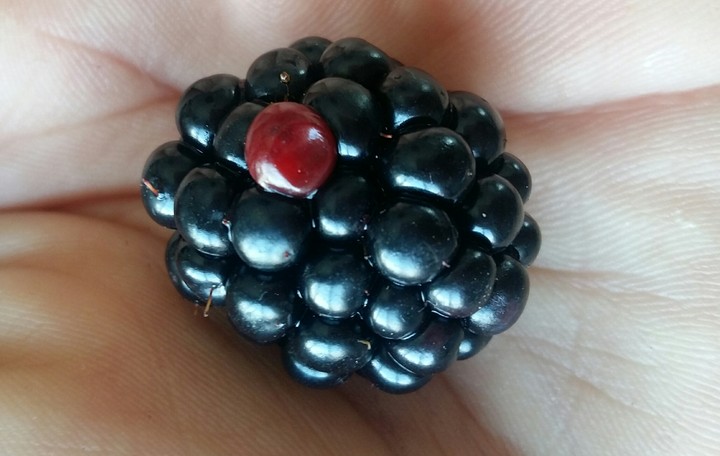 berryRed