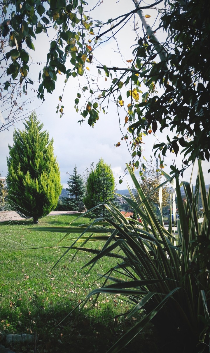 Nature