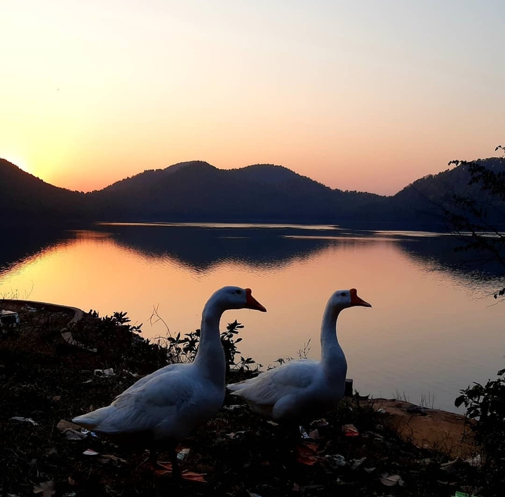 nature