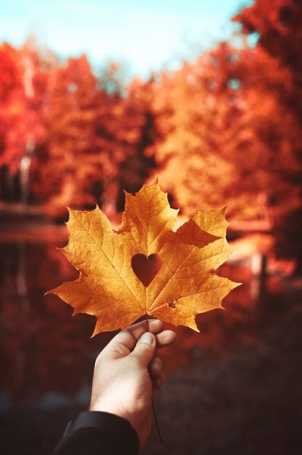 ❤