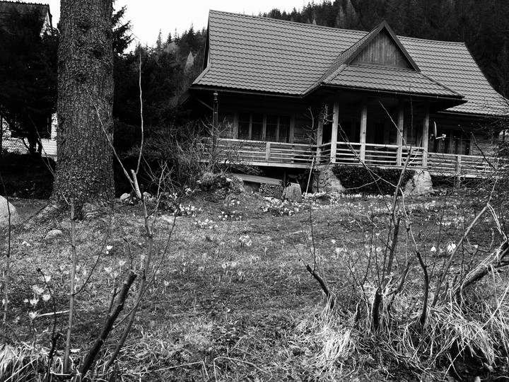 white and black house