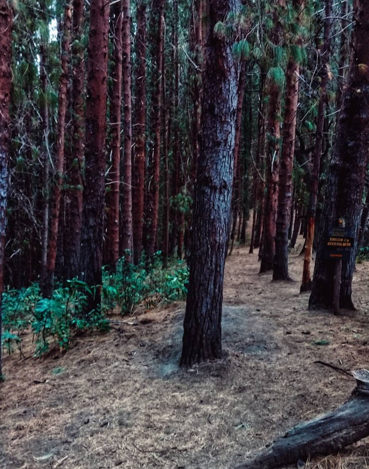 Prusia Park.