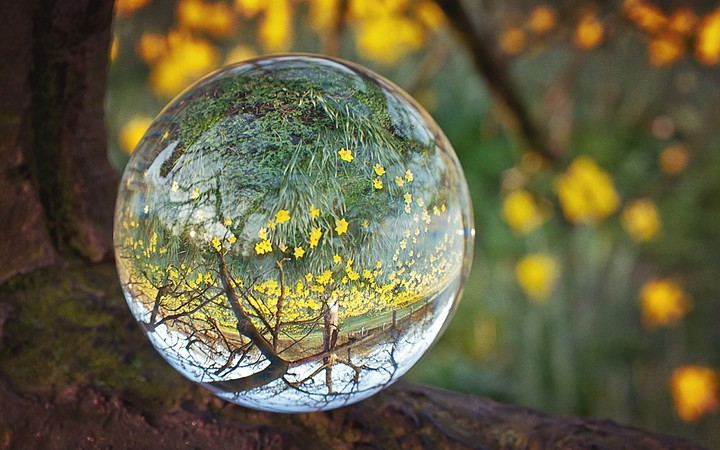 glass