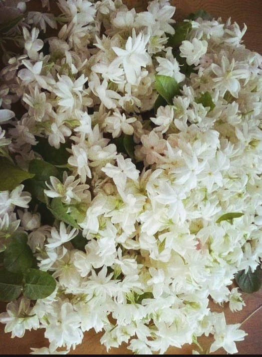 flowers