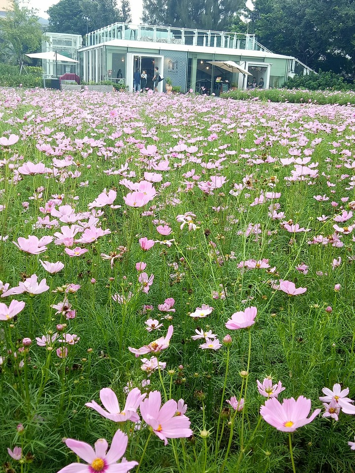 lovely day