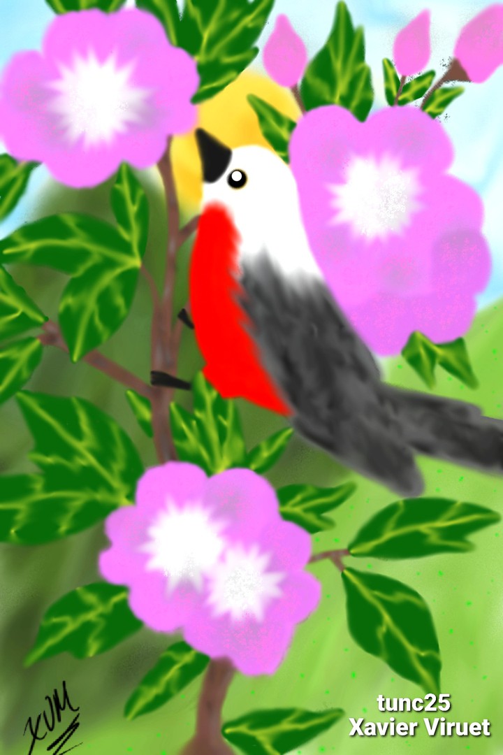 Collaboration with a friend in the Pen Up app.