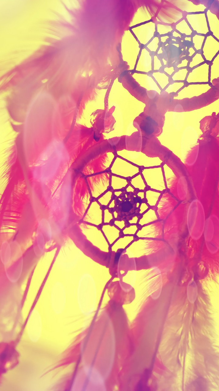Dreamcatcher