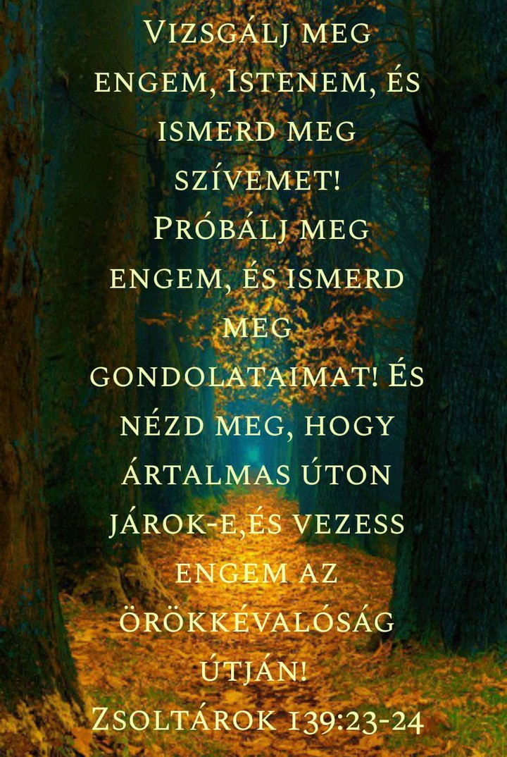 bible