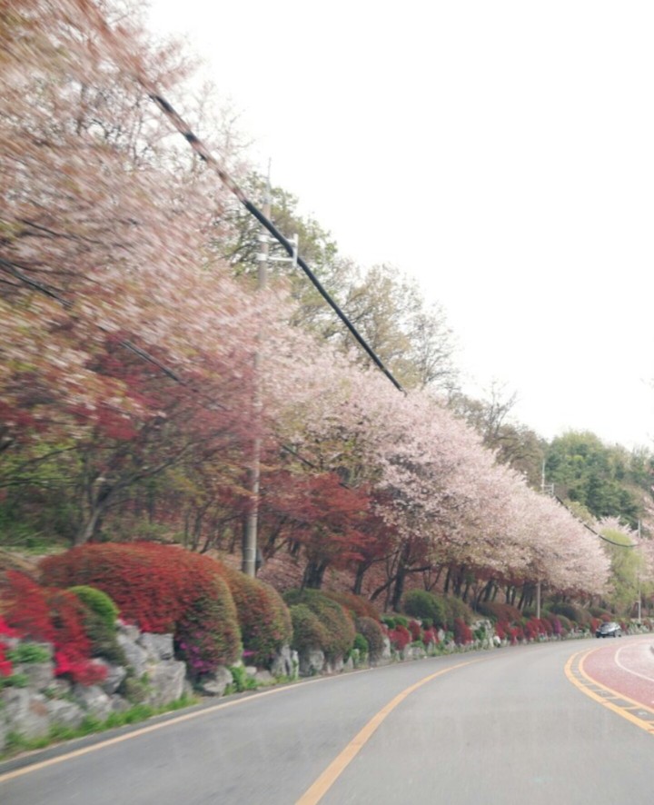 봄