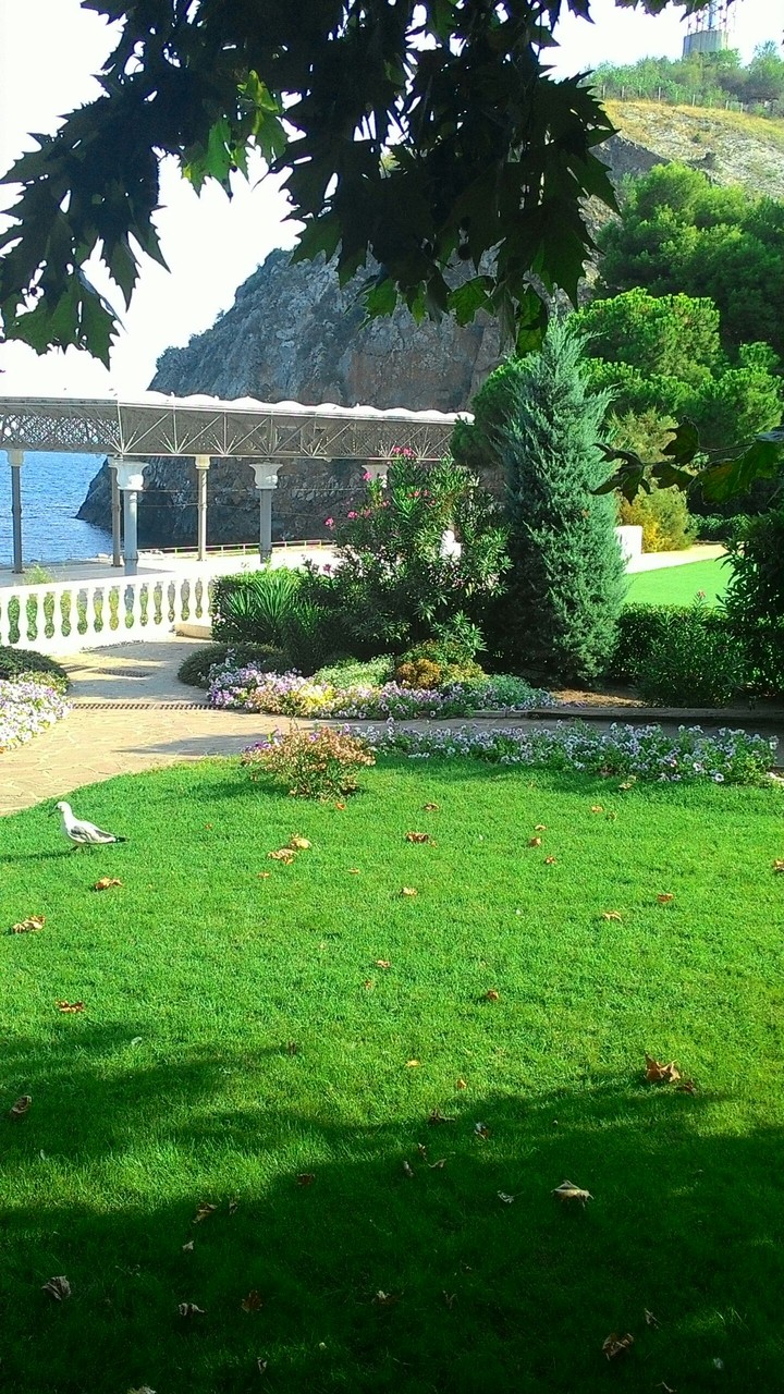 landscape