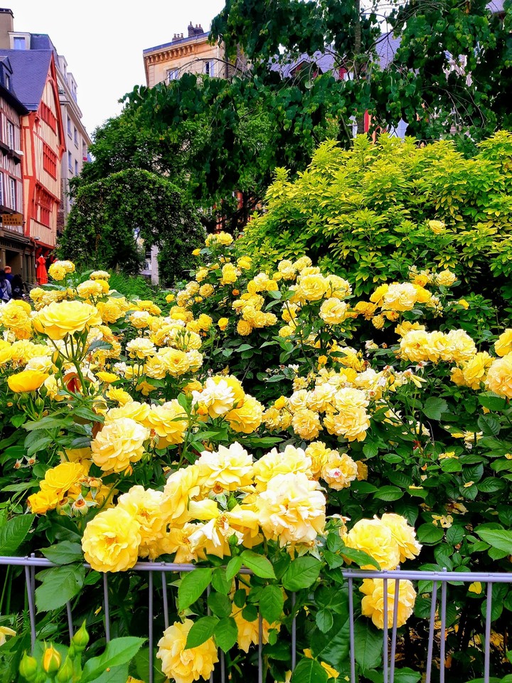 Rouen, France