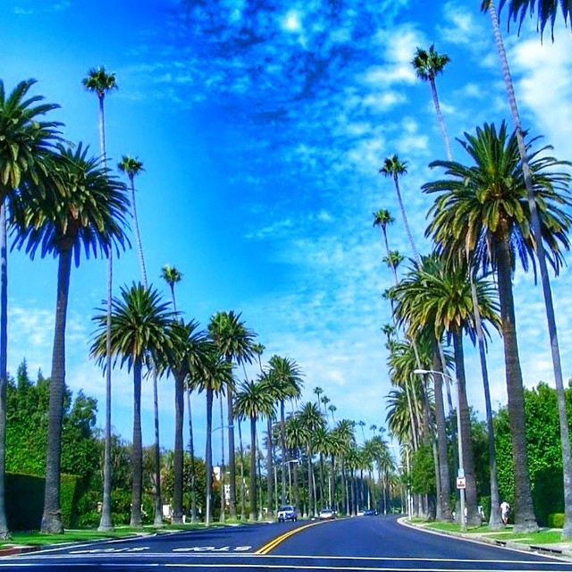 Hollywood Blvd