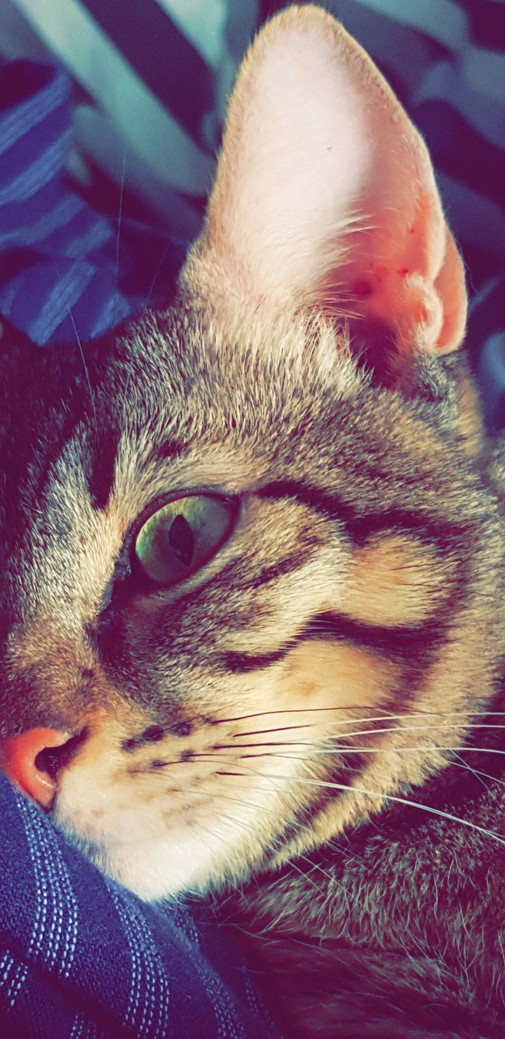 I'm watching you