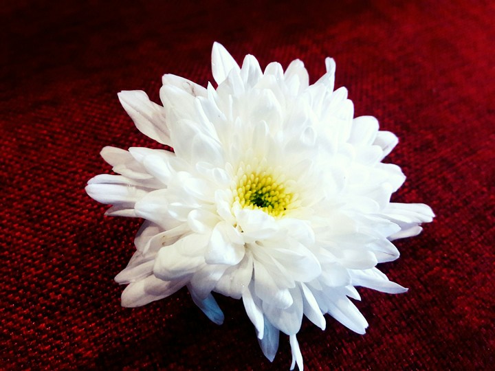 Simple yet beautiful 