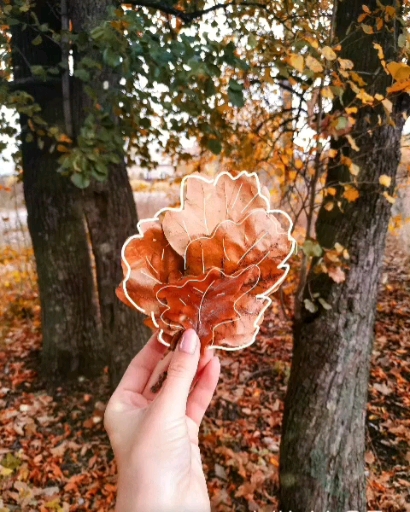 осень