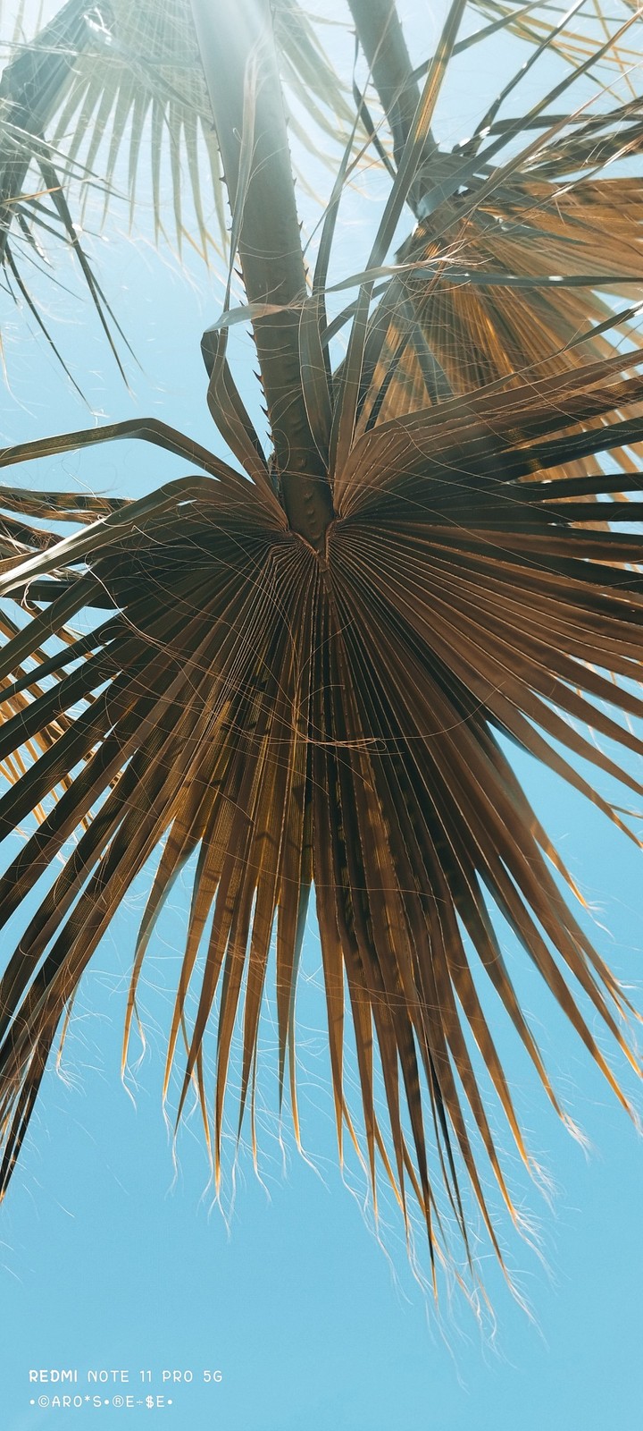 .