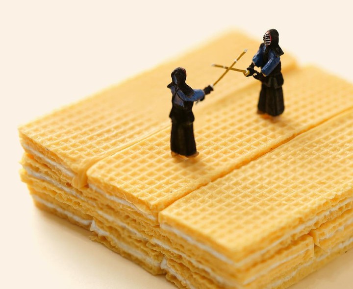 BISCUITS FIGHT