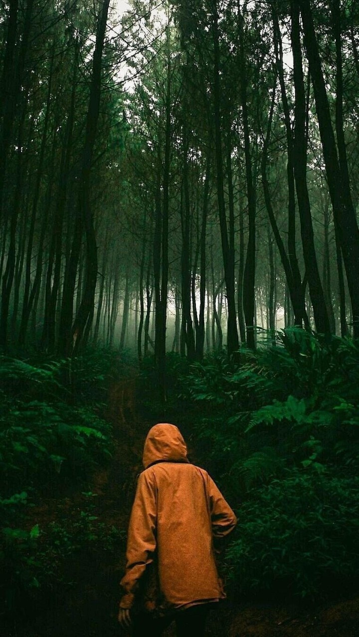 Lost