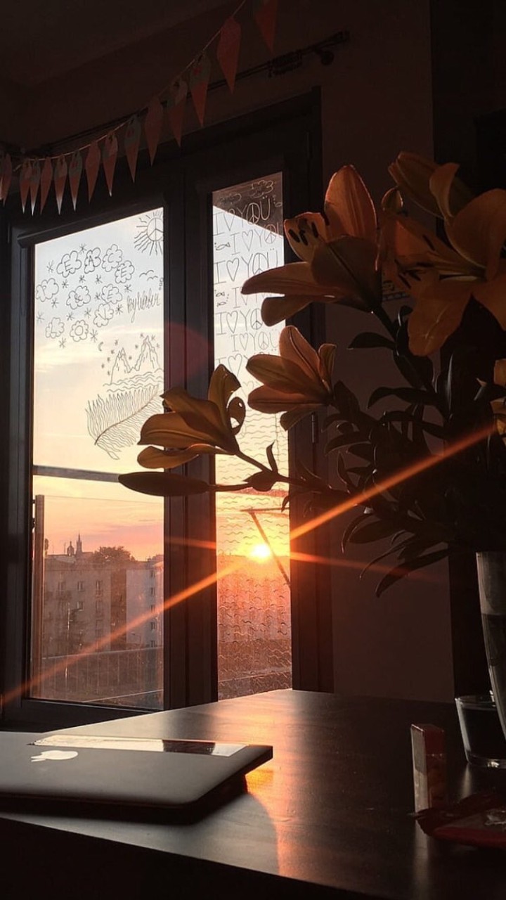 #sunn