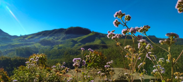 Nature