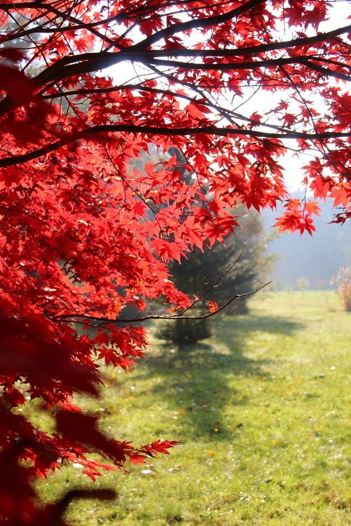 Natural contrast