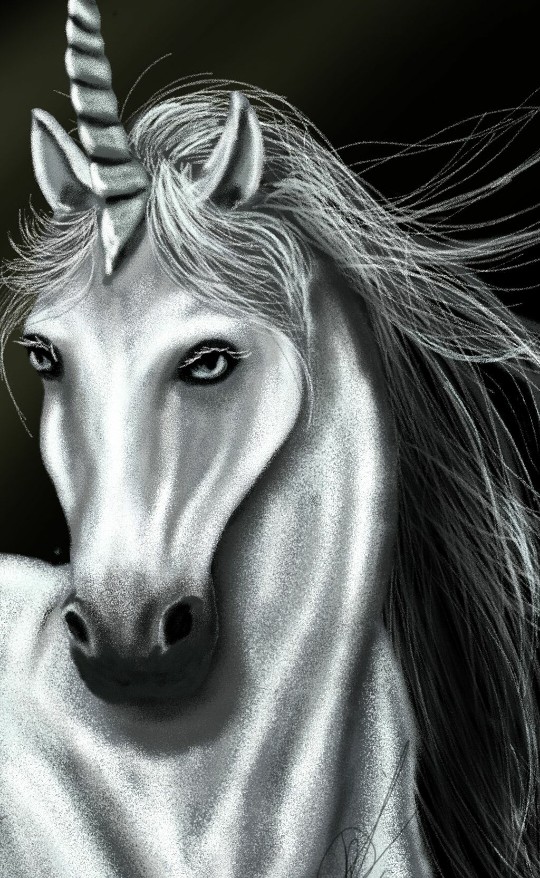 horse