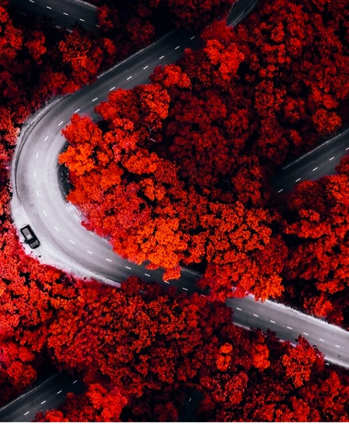autumn