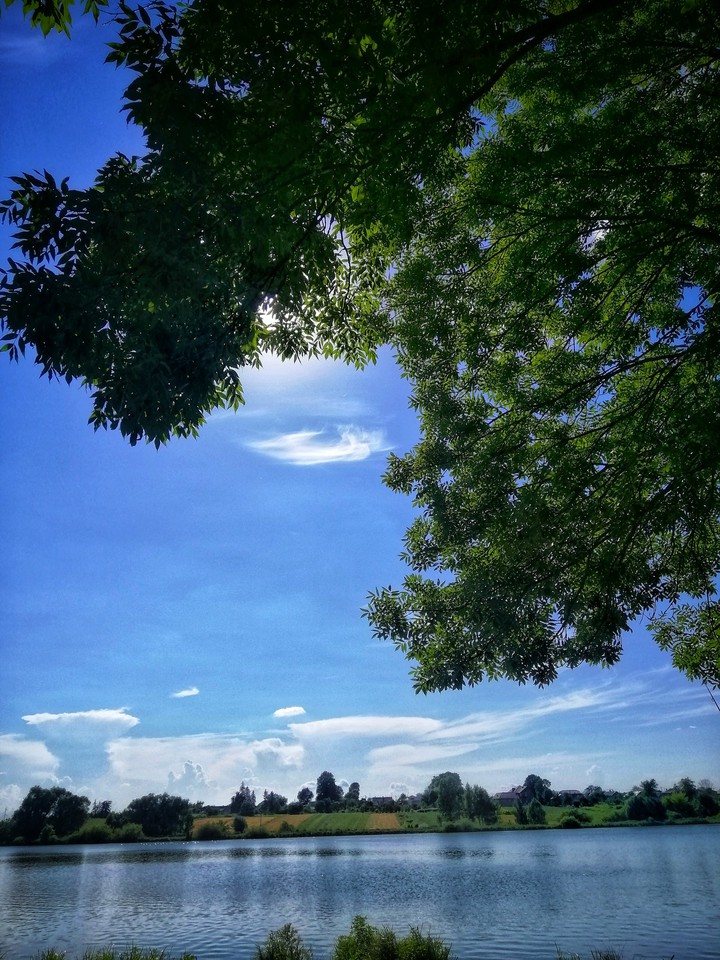 Lake