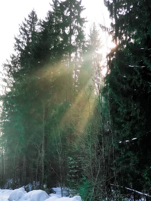 Throwing rays