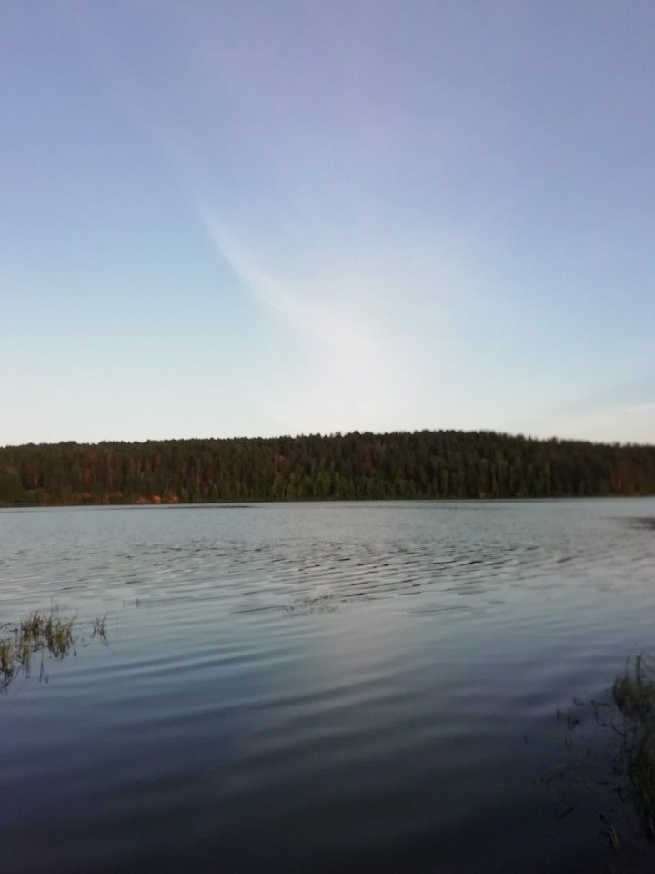 лес