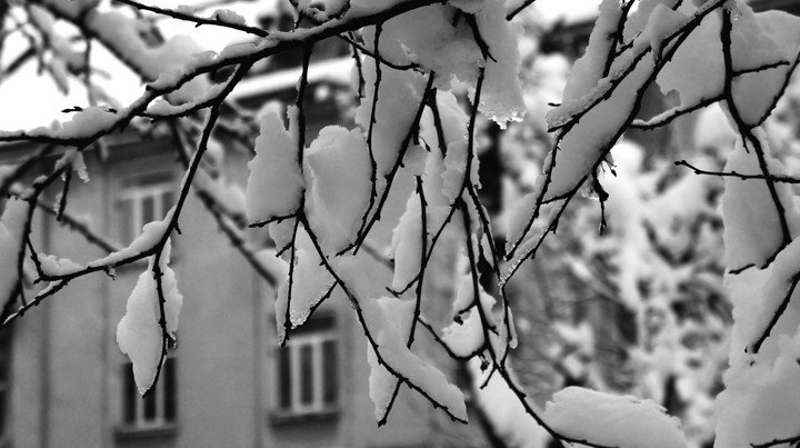 Snow