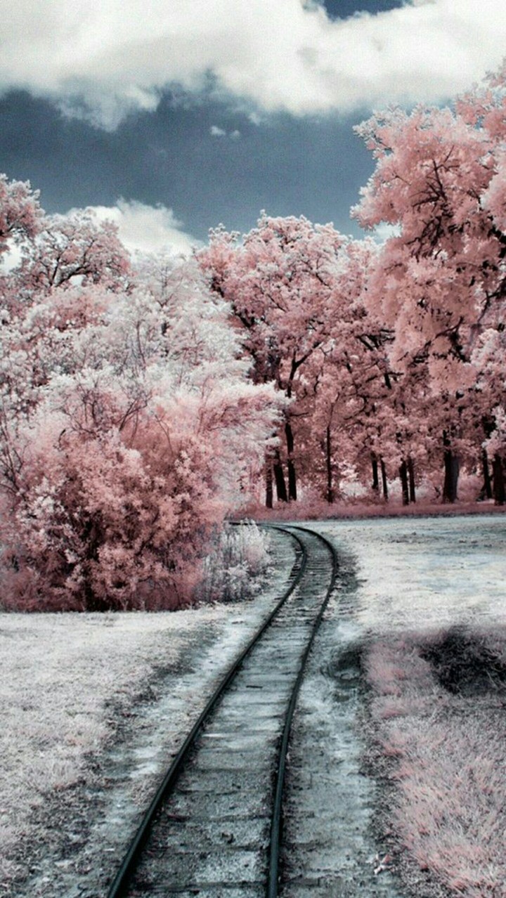 ihsan_barwary