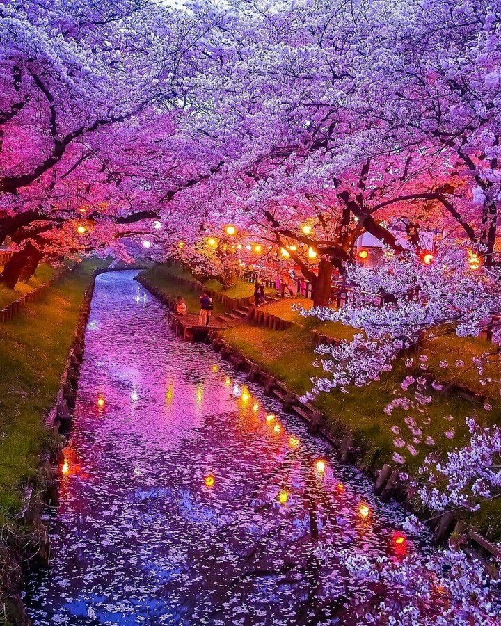 beautiful nature
