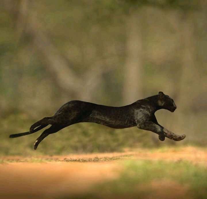 Running grace