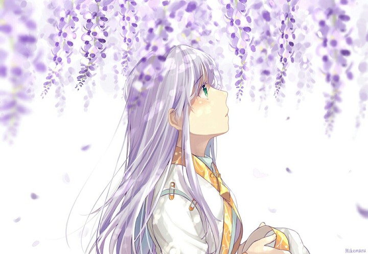 Anime ~ ❤