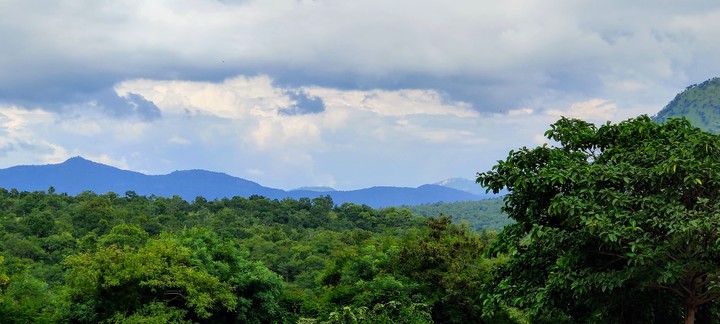 Nature