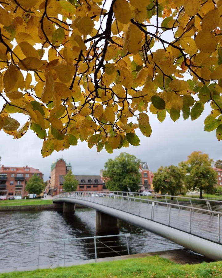 Autumn is here