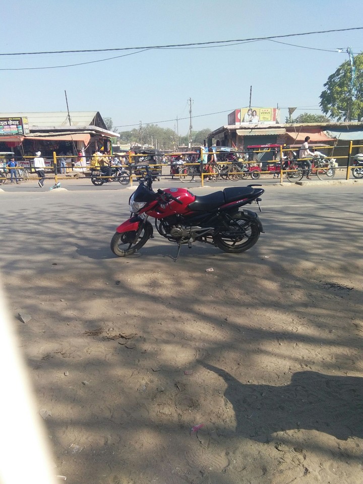 pulsar LS 135
