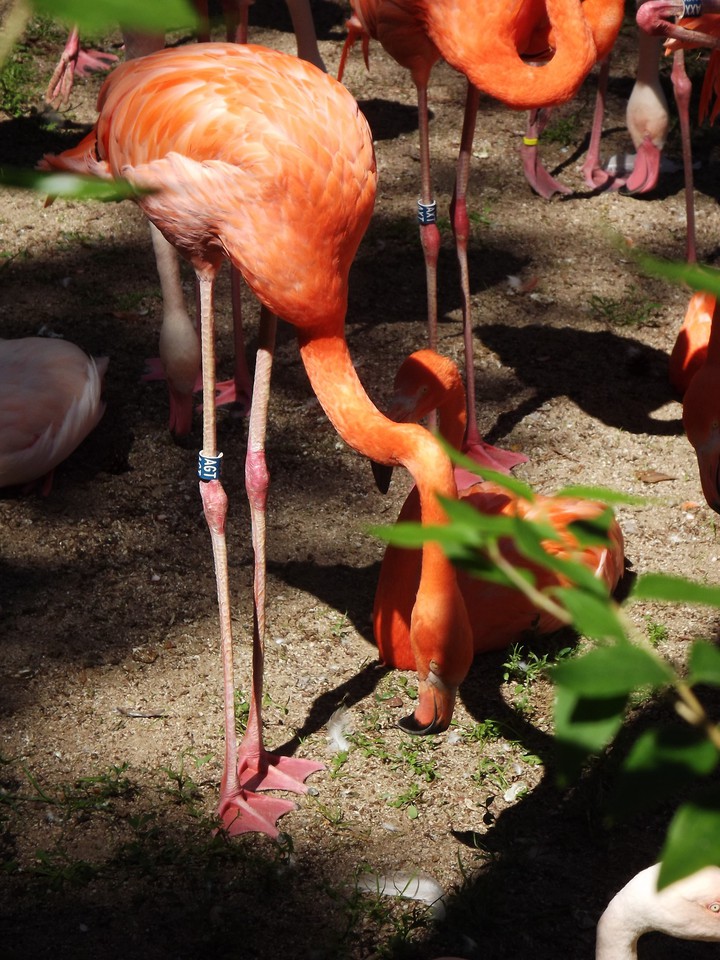 Zoo