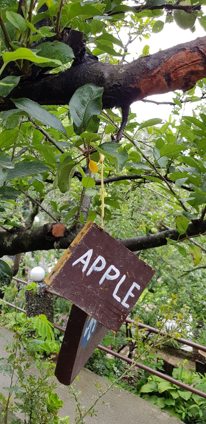 nature love