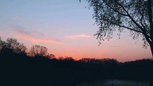 Friday Morning