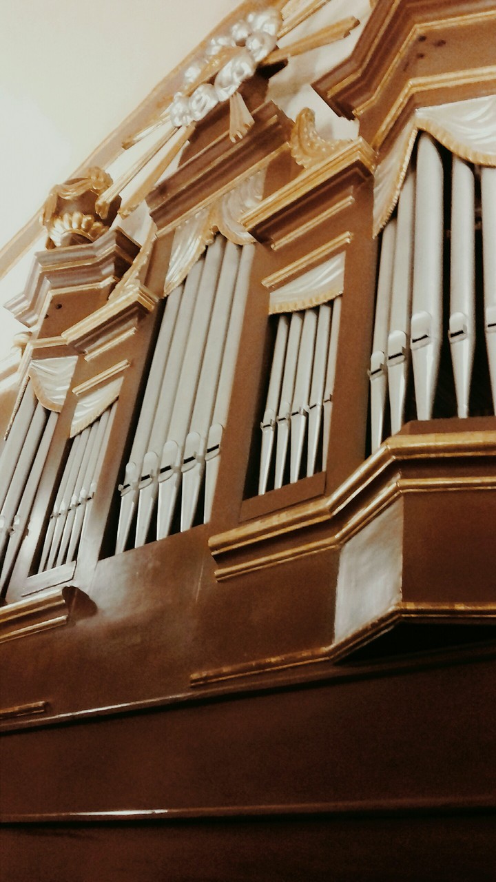 Orgel Organ ❤