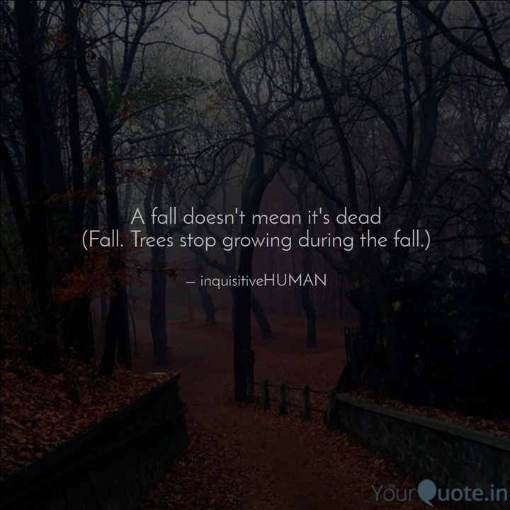 reality