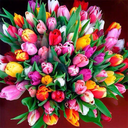 flover