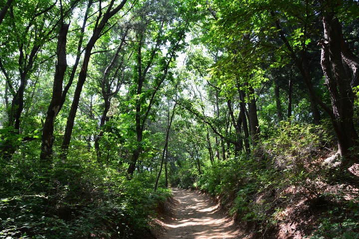 용마산이미지