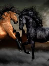 horsefun